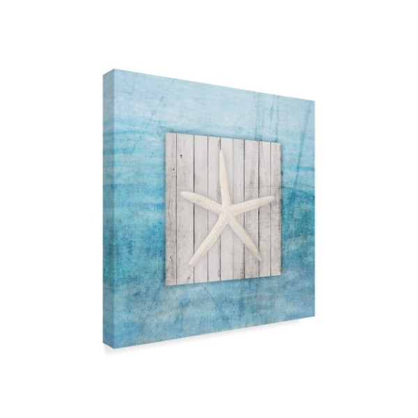 Lightboxjournal 'Blue Frame Spiral' Canvas Art,18x18